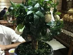 -云来居素食馆(南山店)