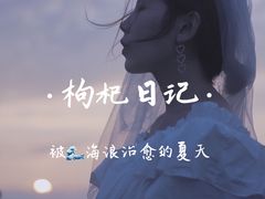 -枸杞岛
