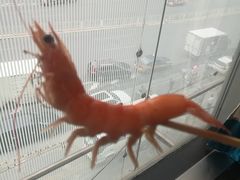 -王家渡火锅店(棕榈泉店)