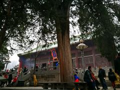 西方圣人殿-少林寺景区