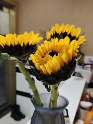 -Dr.林醫生产后修复·配方产康(南京江宁万达店)