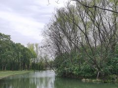 -昆山城市生态森林公园