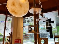 -米乐乖乖猫咪咖啡馆·猫咖(深圳湾后海汇店)