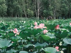 -长春净月潭风景名胜区