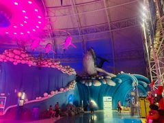 -烟台海昌鲸鲨海洋公园