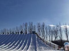 -青龙湖公园