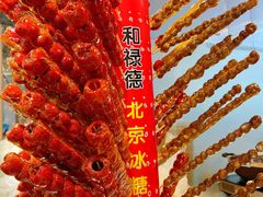 -和禄德冰糖葫芦