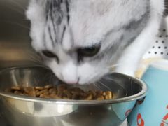 -艾贝尔宠物诊疗