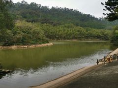 -滴水岩森林公园