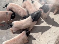 -水上乐园·欢乐世界