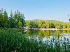 -国家植物园南园