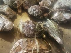 -崖口红树林海鲜餐厅