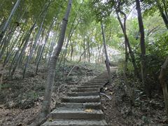 -上海佘山国家森林公园天马山园