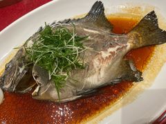 -大东海海鲜酒楼(渔人码头总店)