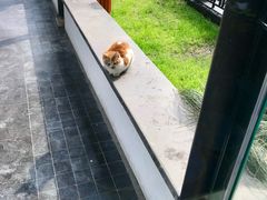 -扬州瘦西湖汇金酒店