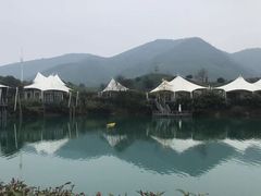 -帐篷客·溪龙茶谷度假酒店