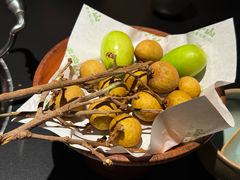 -季季山·云南野生菌火锅(上海首店)