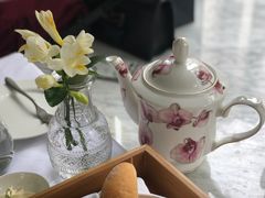 -蝶舍·MAISON PAPILLON