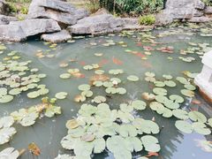 -红花湖景区