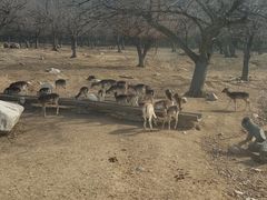 -西安秦岭野生动物园