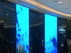 -Mr·Fish鱼鲜生海鲜放题(银泰in99店)