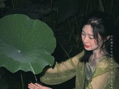 -莲湖公园