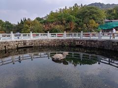 -白马涧龙池景区