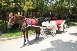 -金庭庄园酒店彩虹厅