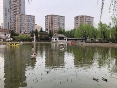 -团结湖公园