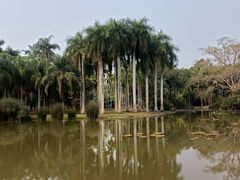 -中国科学院西双版纳热带植物园