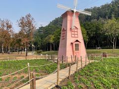 -顺峰山公园