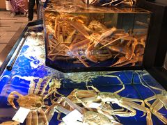 -蟹道乐(道顿堀本店)