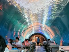 -海棠湾洲际-涛·海底餐厅·美人鱼·自助餐·海底隧道