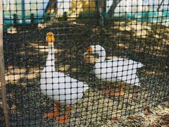 -浙江万里学院(钱湖校区)