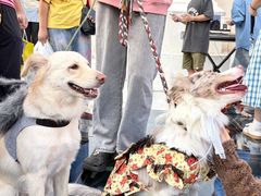 -华谊兄弟（长沙）电影小镇