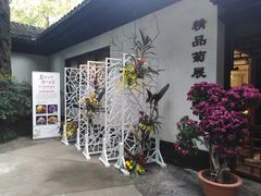 -汇龙潭