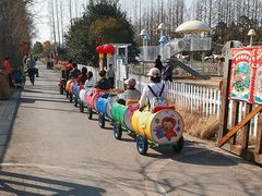 -上海长兴岛郊野公园