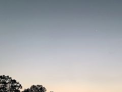 -金孔雀温泉旅游度假村