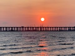 -宝安西湾红树林湿地公园