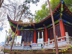 -龟山风景区-龟山电视塔