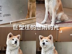-YCHL Studios健身工作室(市二宫店)