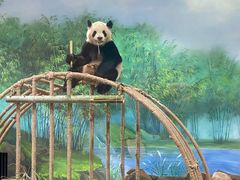 -杭州野生动物世界