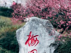 -重庆彩云湖湿地公园