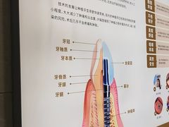 -佛山中大口腔医院·市二级口腔专科医院