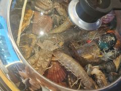 -海岛渔村大酒店(云霄路店)