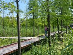 -昆山城市生态森林公园