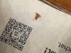 -海盗虾饭·剥好的小龙虾饭(SOHO尚都店)