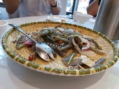 -陶缘一号·四季缘·老字号顺德菜·户外婚礼家宴(西滘店)