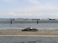 -南沙蒲洲花园