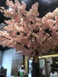 -简影造型·自选烫染接发salon
